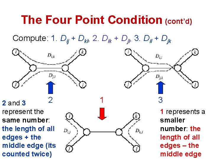 The Four Point Condition (cont’d) Compute: 1. Dij + Dkl, 2. Dik + Djl,