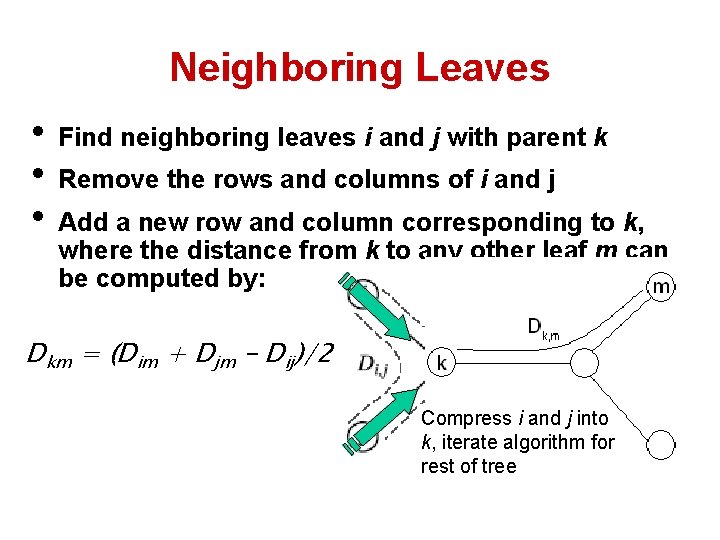 Neighboring Leaves • Find neighboring leaves i and j with parent k • Remove