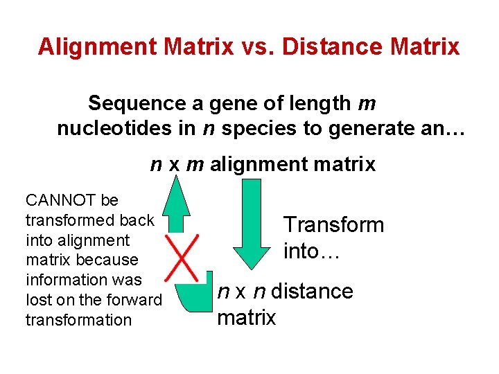 Alignment Matrix vs. Distance Matrix Sequence a gene of length m nucleotides in n