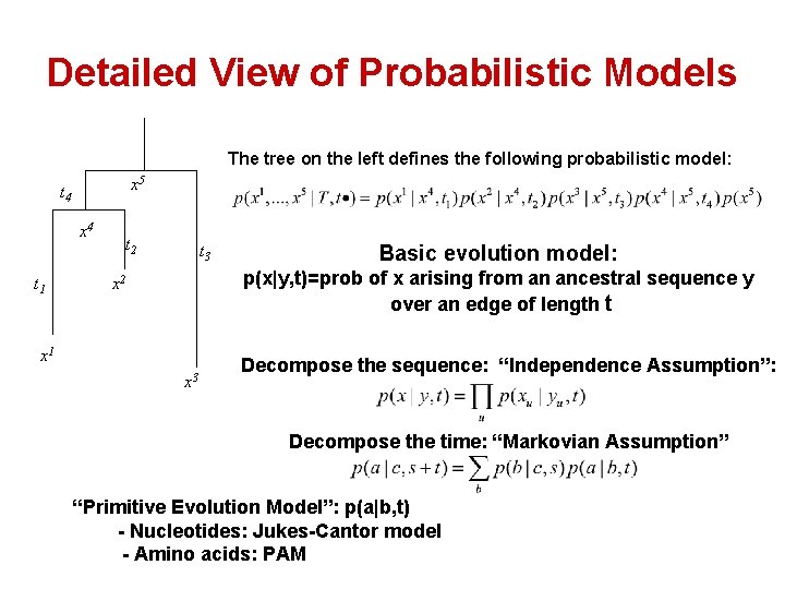 Detailed View of Probabilistic Models The tree on the left defines the following probabilistic