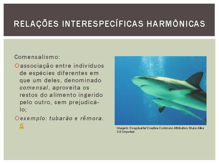 RELAÇÕES INTERESPECÍFICAS HARMÔNICAS Comensalismo: associação entre indivíduos de espécies diferentes em que um deles,