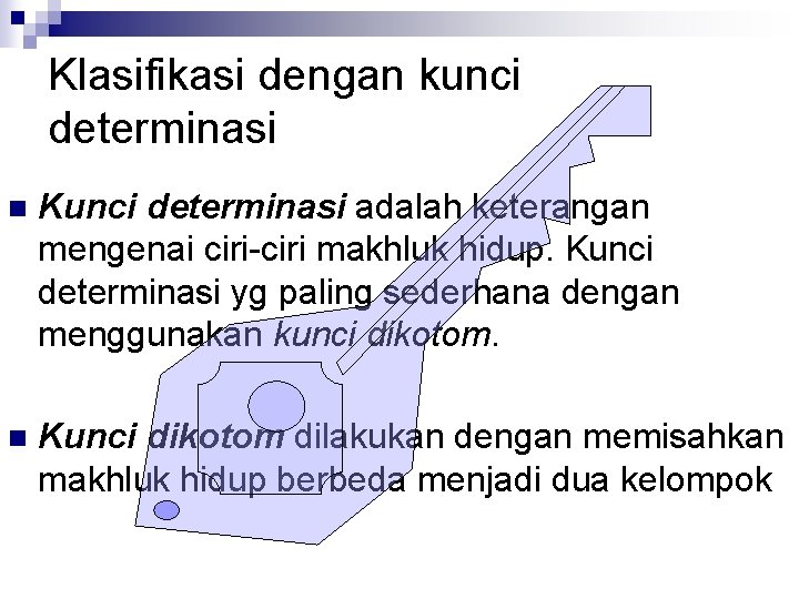 Klasifikasi dengan kunci determinasi n Kunci determinasi adalah keterangan mengenai ciri-ciri makhluk hidup. Kunci