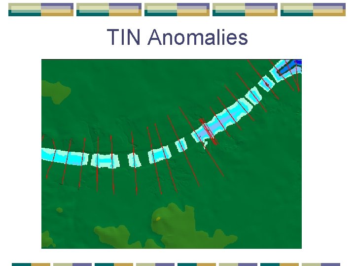TIN Anomalies TIN Anomalies