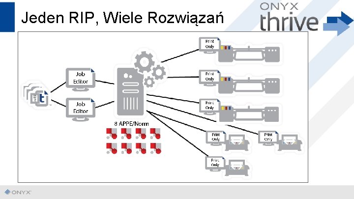 Jeden RIP, Wiele Rozwiązań 