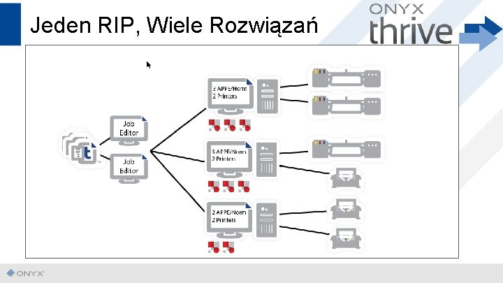 Jeden RIP, Wiele Rozwiązań 