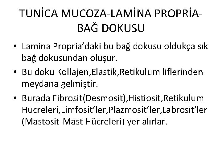 TUNİCA MUCOZA-LAMİNA PROPRİABAĞ DOKUSU • Lamina Propria’daki bu bağ dokusu oldukça sık bağ dokusundan