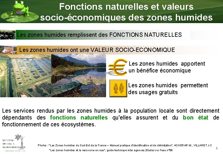 Fonctions naturelles et valeurs socio-économiques des zones humides Les zones humides remplissent des FONCTIONS