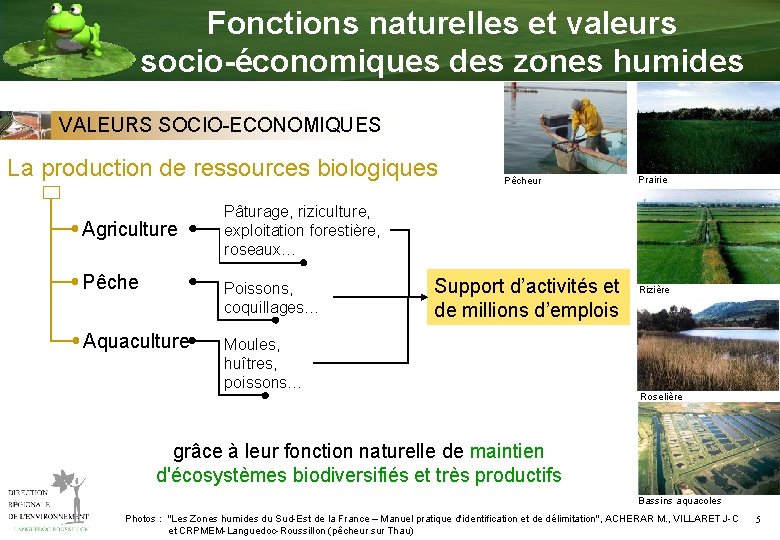 Fonctions naturelles et valeurs socio-économiques des zones humides VALEURS SOCIO-ECONOMIQUES La production de ressources
