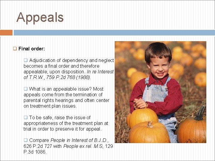 Appeals q Final order: q Adjudication of dependency and neglect becomes a final order