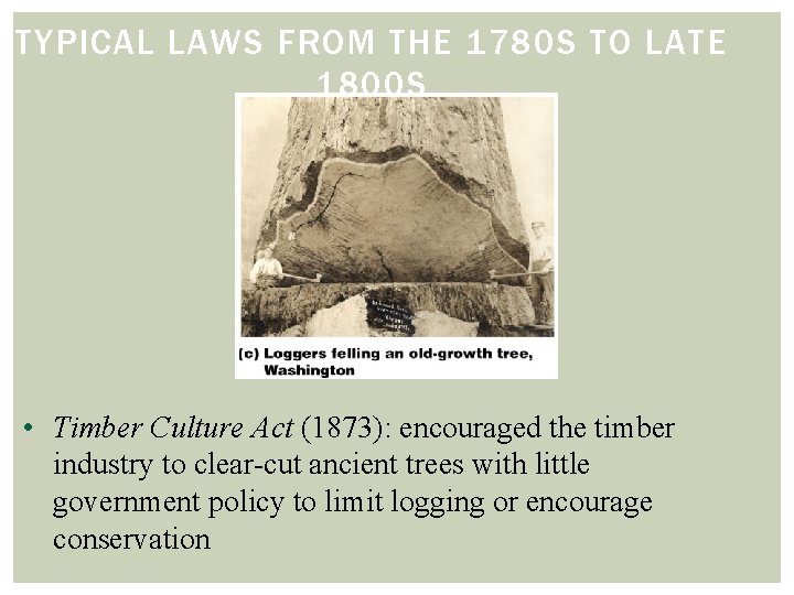 TYPICAL LAWS FROM THE 1780 S TO LATE 1800 S • Timber Culture Act