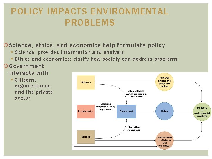 POLICY IMPACTS ENVIRONMENTAL PROBLEMS Science, ethics, and economics help formulate policy § Science: provides