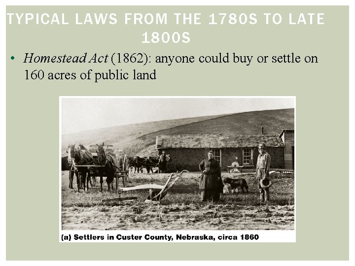 TYPICAL LAWS FROM THE 1780 S TO LATE 1800 S • Homestead Act (1862):