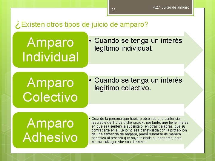 23 4. 2. 1 Juicio de amparo ¿Existen otros tipos de juicio de amparo?