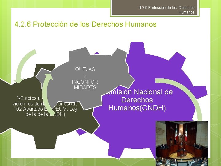 4. 2. 6 Protección de los Derechos Humanos QUEJAS o INCONFOR MIDADES VS actos