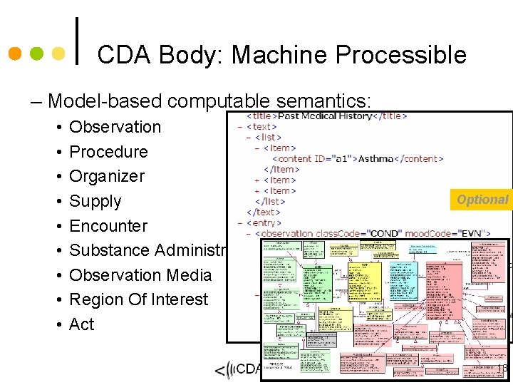 CDA Body: Machine Processible – Model-based computable semantics: • • • Observation Procedure Organizer