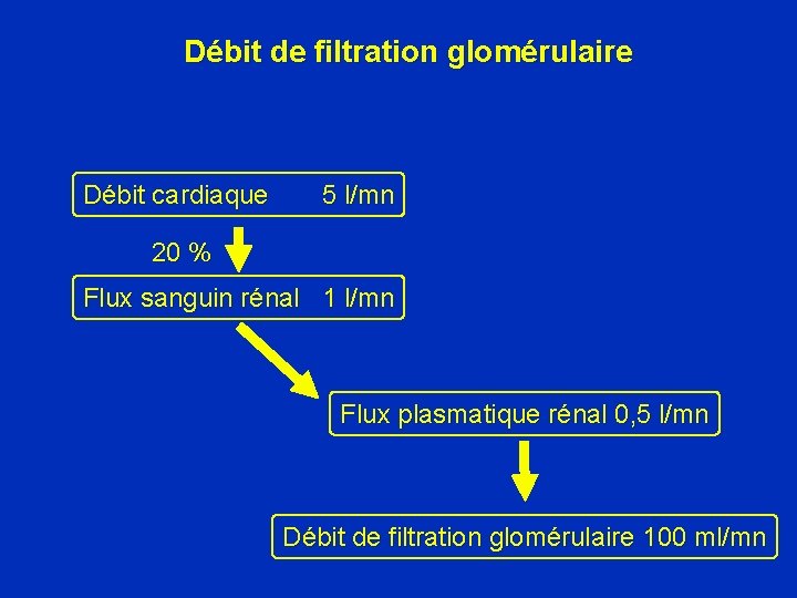 Débit de filtration glomérulaire Débit cardiaque 5 l/mn 20 % Flux sanguin rénal 1