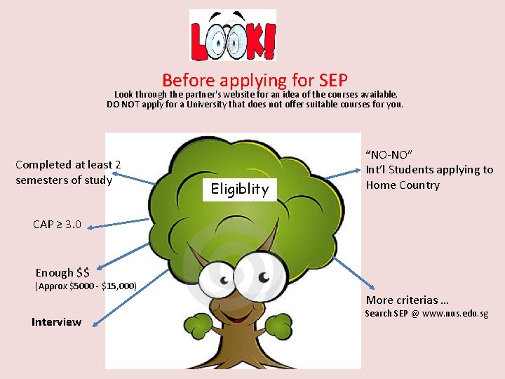 Before applying for SEP Look through the partner's website for an idea of the