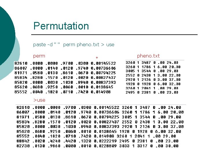 Permutation paste -d " " perm pheno. txt > use perm >use + pheno.