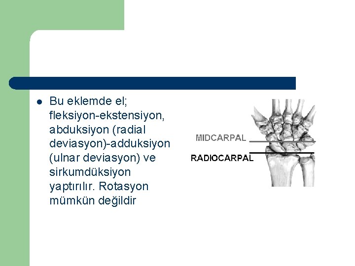 l Bu eklemde el; fleksiyon-ekstensiyon, abduksiyon (radial deviasyon)-adduksiyon (ulnar deviasyon) ve sirkumdüksiyon yaptırılır. Rotasyon