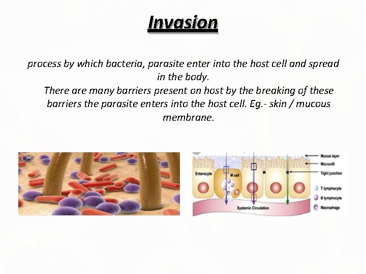 Invasion process by which bacteria, parasite enter into the host cell and spread in
