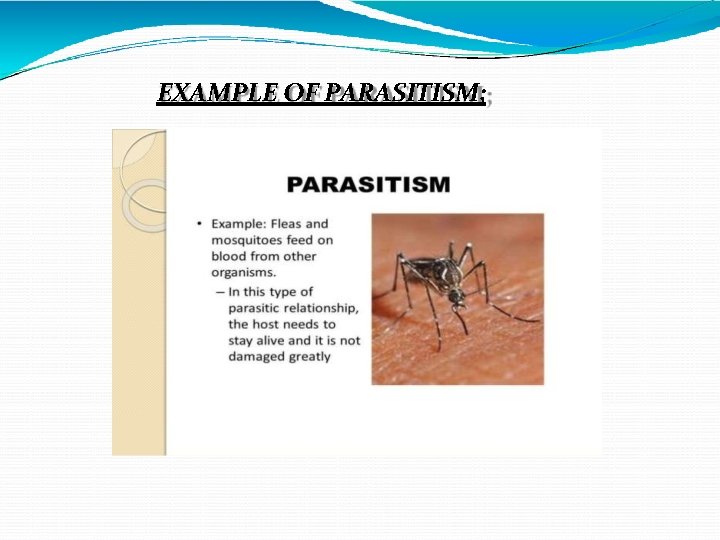 EXAMPLE OF PARASITISM; 