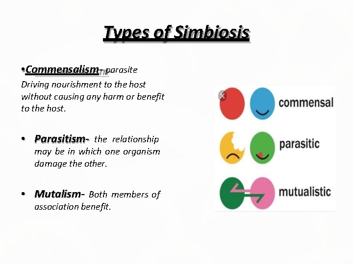 Types of Simbiosis • Commensalism- parasite Driving nourishment to the host without causing any