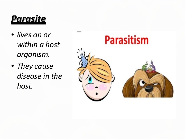 Parasite • lives on or within a host organism. • They cause disease in