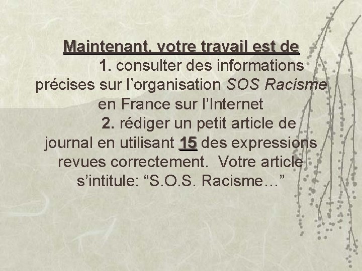 Maintenant, votre travail est de 1. consulter des informations précises sur l’organisation SOS Racisme