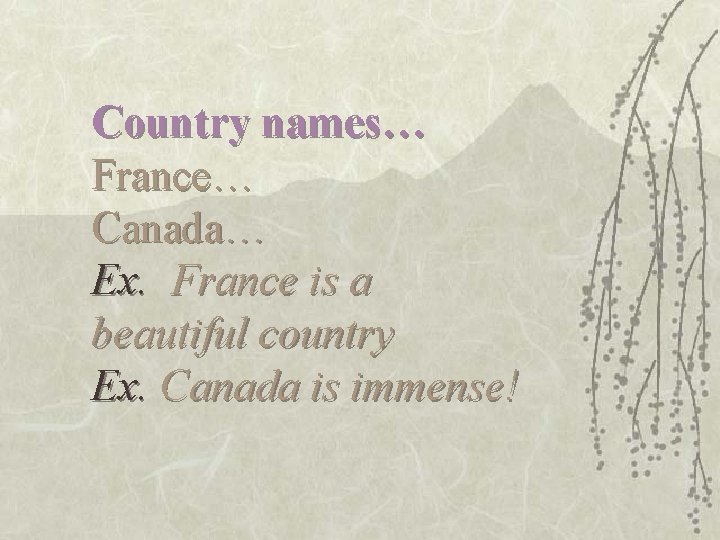 Country names… France… Canada… Ex. France is a beautiful country Ex. Canada is immense!