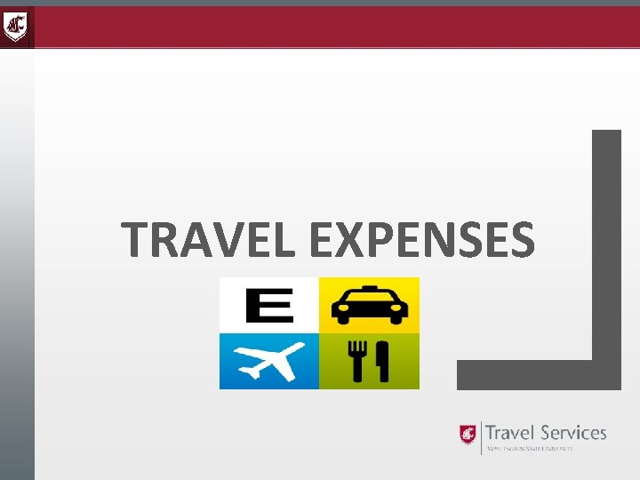 TRAVEL EXPENSES 