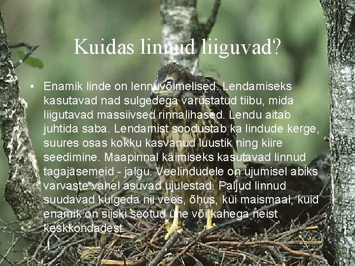 Kuidas linnud liiguvad? • Enamik linde on lennuvõimelised. Lendamiseks kasutavad nad sulgedega varustatud tiibu,