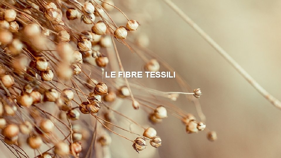 LE FIBRE TESSILI 