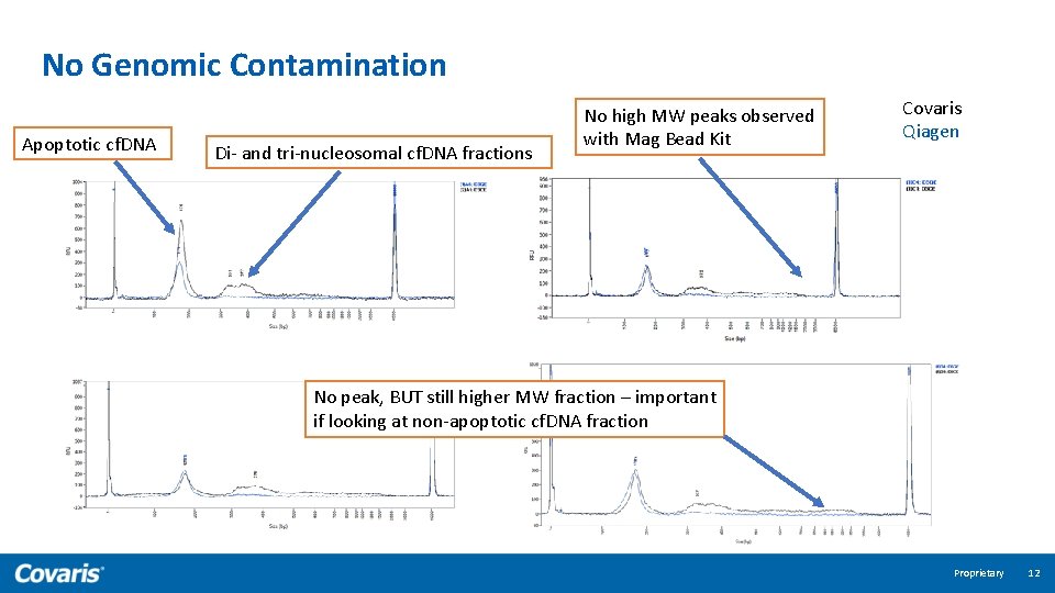 No Genomic Contamination Apoptotic cf. DNA Di- and tri-nucleosomal cf. DNA fractions No high