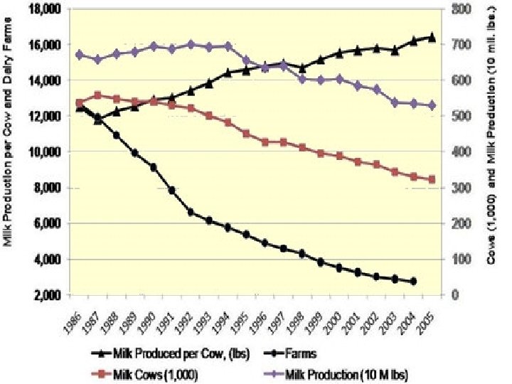 Dairy Cattle Industry 