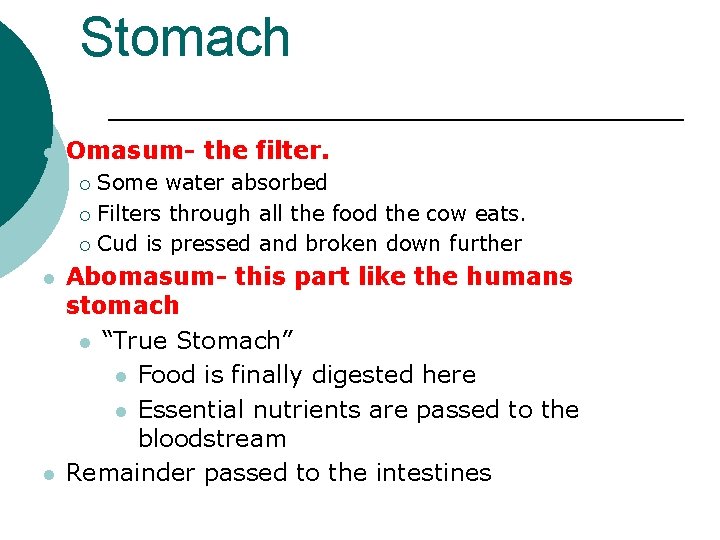 Stomach l Omasum- the filter. Some water absorbed ¡ Filters through all the food