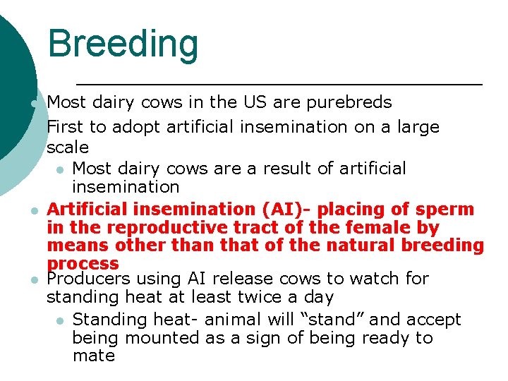 Breeding l l Most dairy cows in the US are purebreds First to adopt