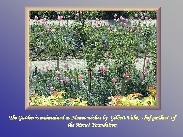 The Garden is maintained as Monet wishes by Gilbert Vahé, chef gardner of the