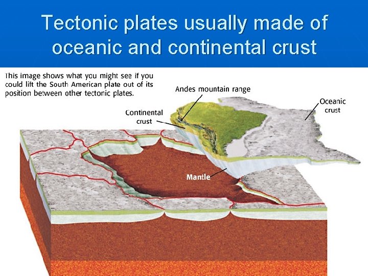 Tectonic plates usually made of oceanic and continental crust 