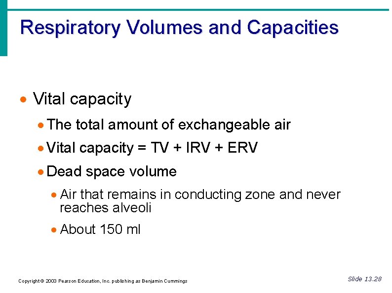 Respiratory Volumes and Capacities Vital capacity The total amount of exchangeable air Vital capacity
