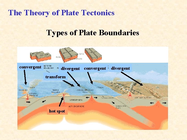 The Theory of Plate Tectonics Types of Plate Boundaries convergent divergent convergent transform hot