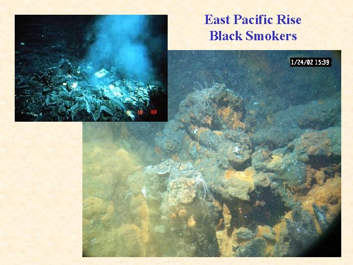 East Pacific Rise Black Smokers 