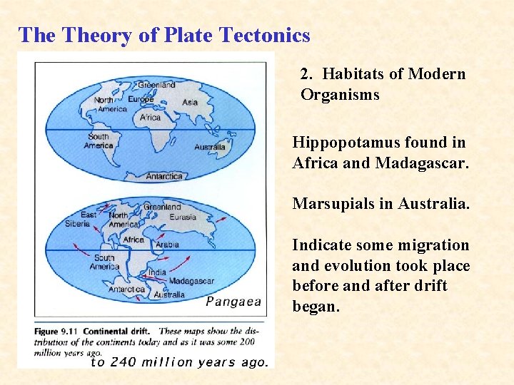 The Theory of Plate Tectonics 2. Habitats of Modern Organisms Hippopotamus found in Africa