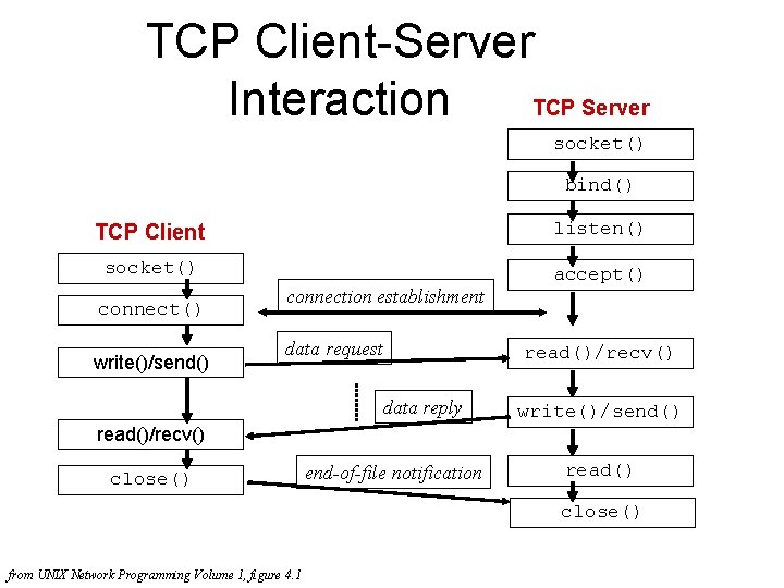 TCP Client-Server Interaction TCP Server socket() bind() TCP Client listen() socket() accept() connect() write()/send()