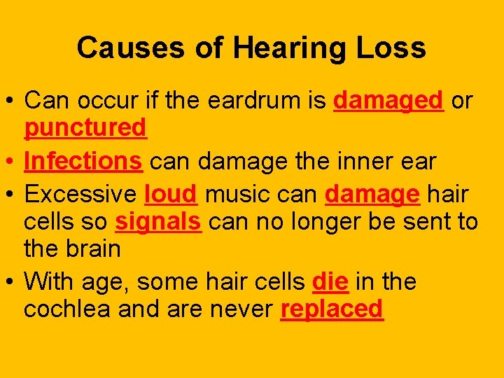 Causes of Hearing Loss • Can occur if the eardrum is damaged or punctured