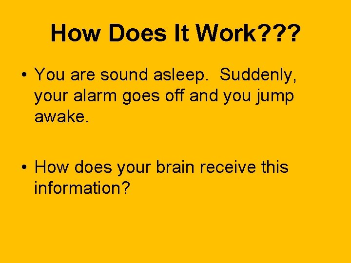 How Does It Work? ? ? • You are sound asleep. Suddenly, your alarm