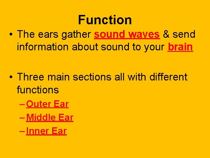 Function • The ears gather sound waves & send information about sound to your