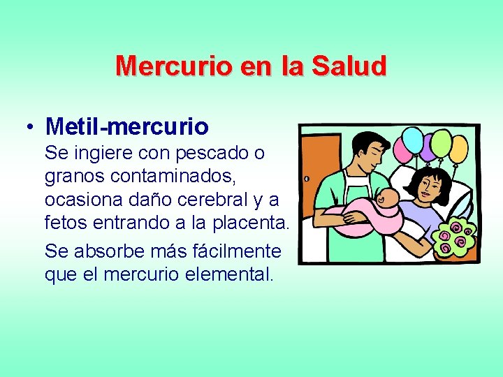 Mercurio en la Salud • Metil-mercurio Se ingiere con pescado o granos contaminados, ocasiona