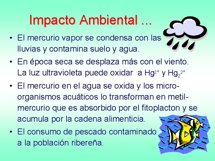 Impacto Ambiental. . . • El mercurio vapor se condensa con las lluvias y