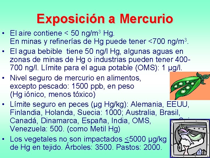 Exposición a Mercurio • El aire contiene < 50 ng/m 3 Hg. En minas