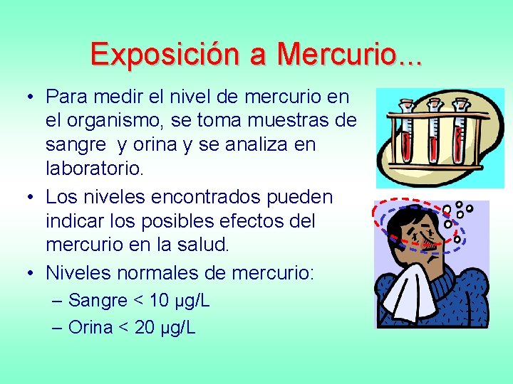 Exposición a Mercurio. . . • Para medir el nivel de mercurio en el